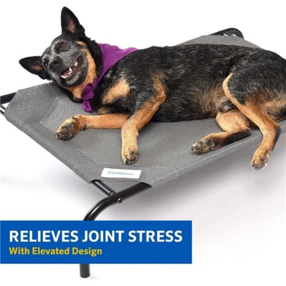 Cooling Elevated Dog Bed, Indoor and Outdoor,Large,Brunswick Green,51.00